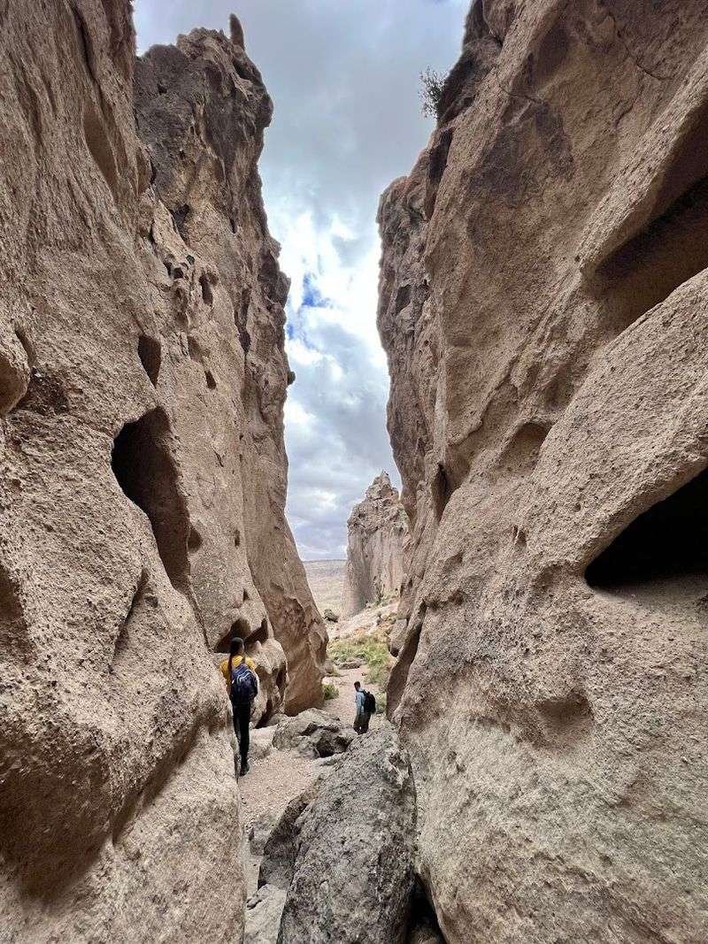 Trail Length And Difficulty Level