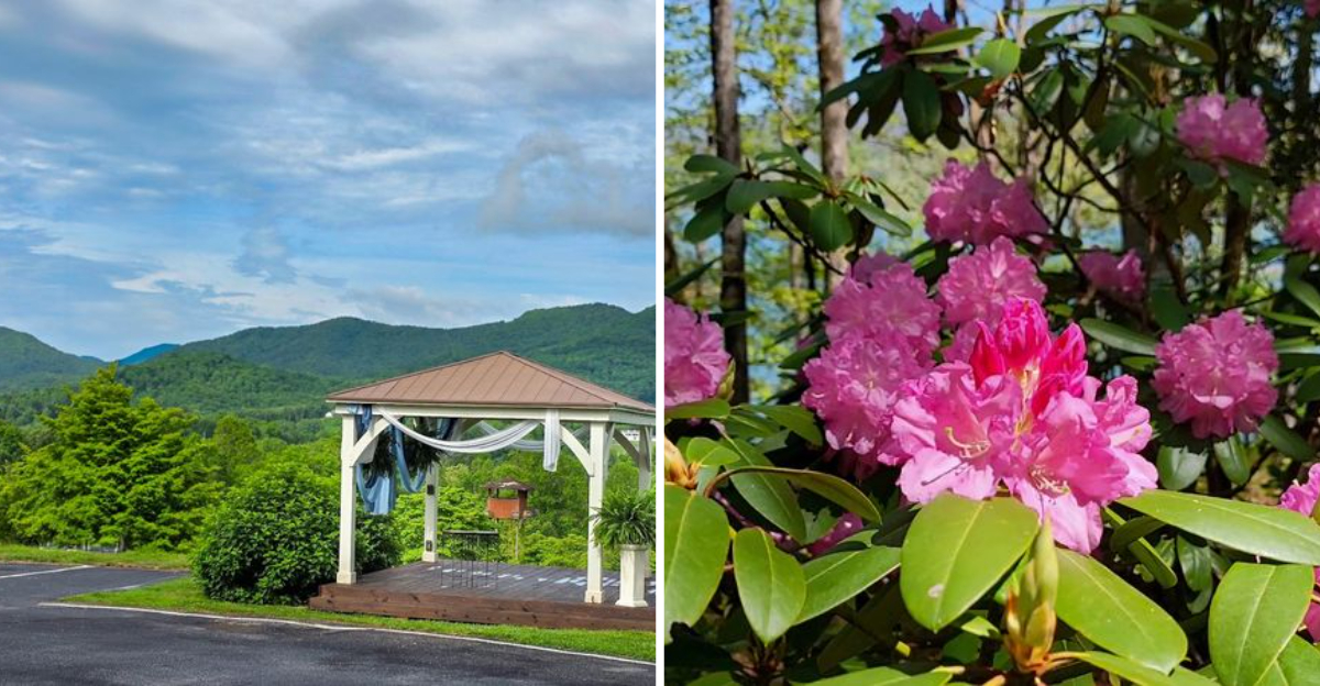 Tucked Away In The Georgia Mountains Is A Rhododendron Garden Straight Out Of A Storybook - Decor Hint