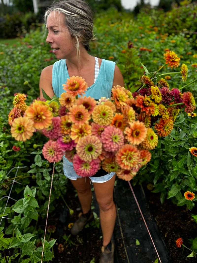 Hands-On Workshops With Real Creative Value