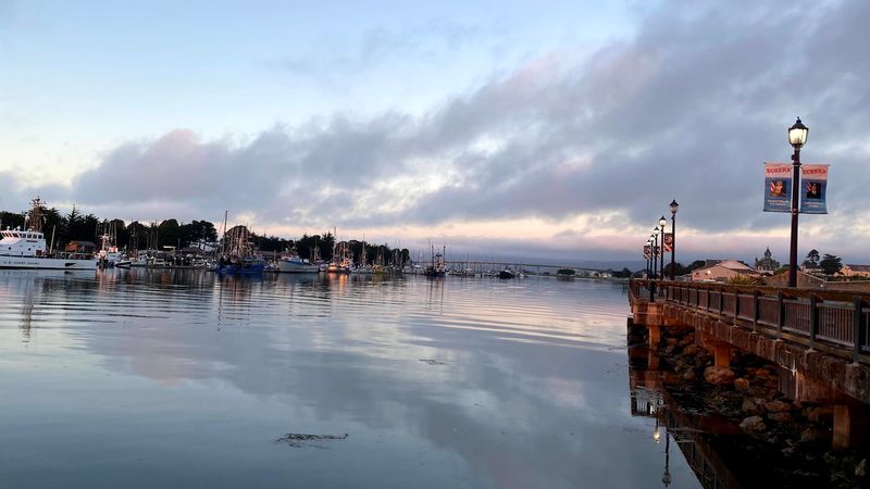 Arcata Bay Oyster Festival, Arcata