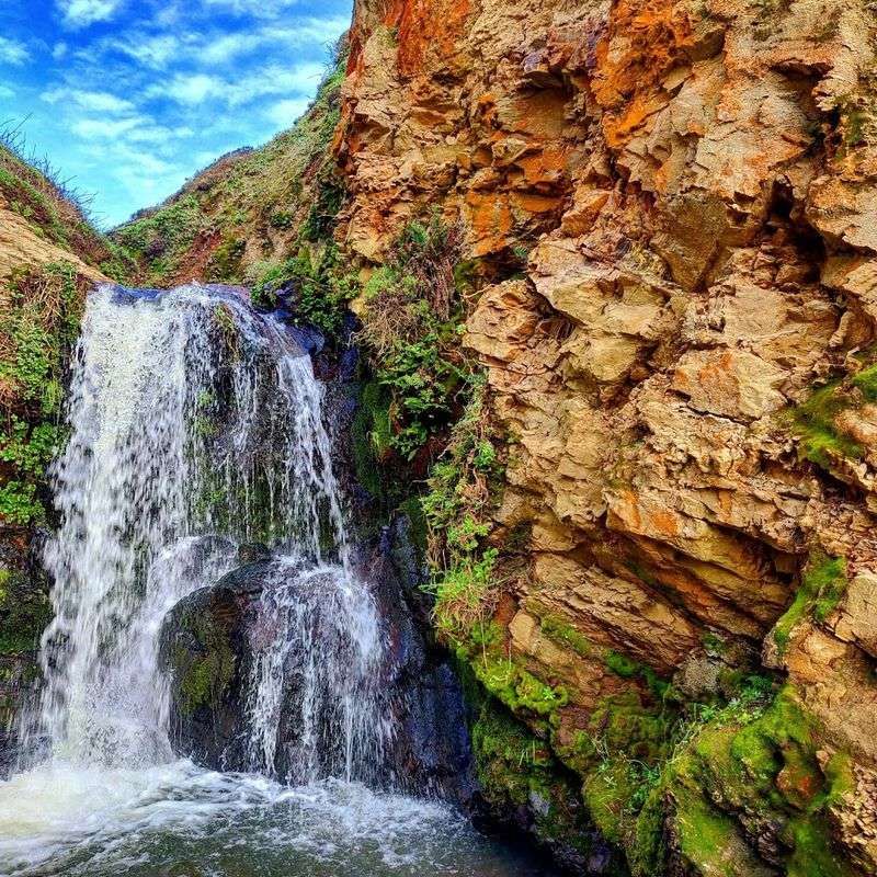 If You're Craving Real Quiet This Spring, This Northern California Escape Is It - Decor Hint Mild Coastal Temperatures Even In Spring And Summer