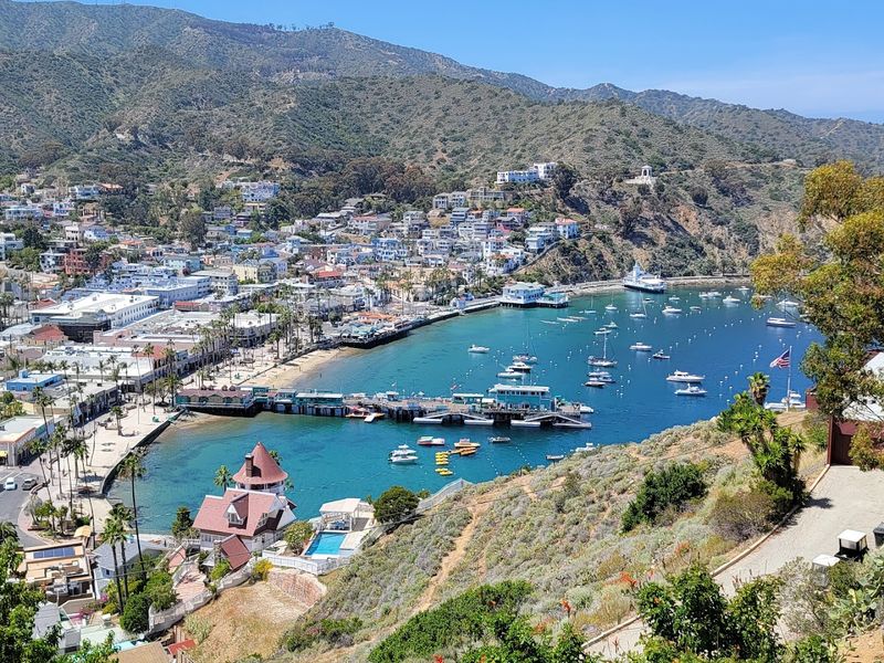 The Charming California Island Where Private Cars Are All But Banned - Decor Hint The COAST Shuttle: Public Transit Island Style