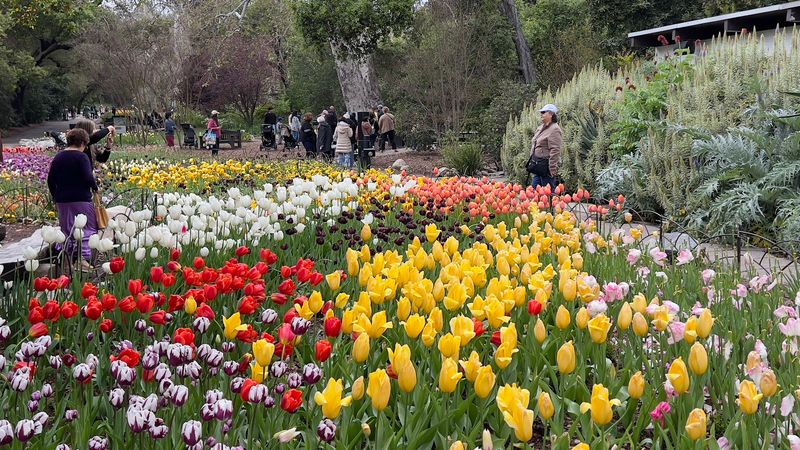 The Gardens Are Open Daily From 9 AM To 7 PM