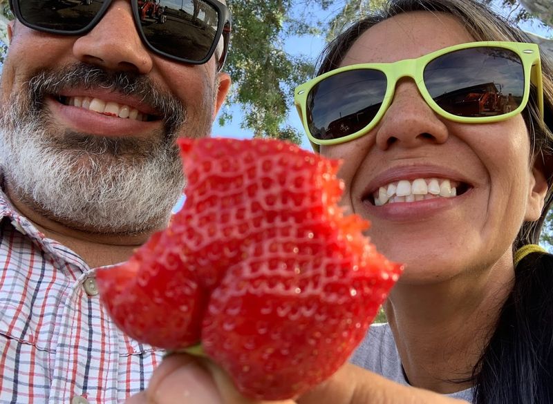 BerryFest Strawberry Festival