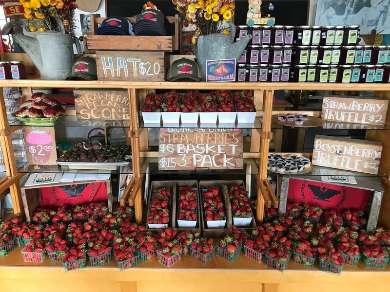 The Farm Stand And Its Homemade Treats