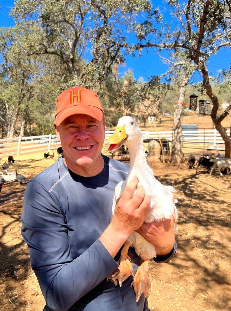 Duck And Animal Cuddling