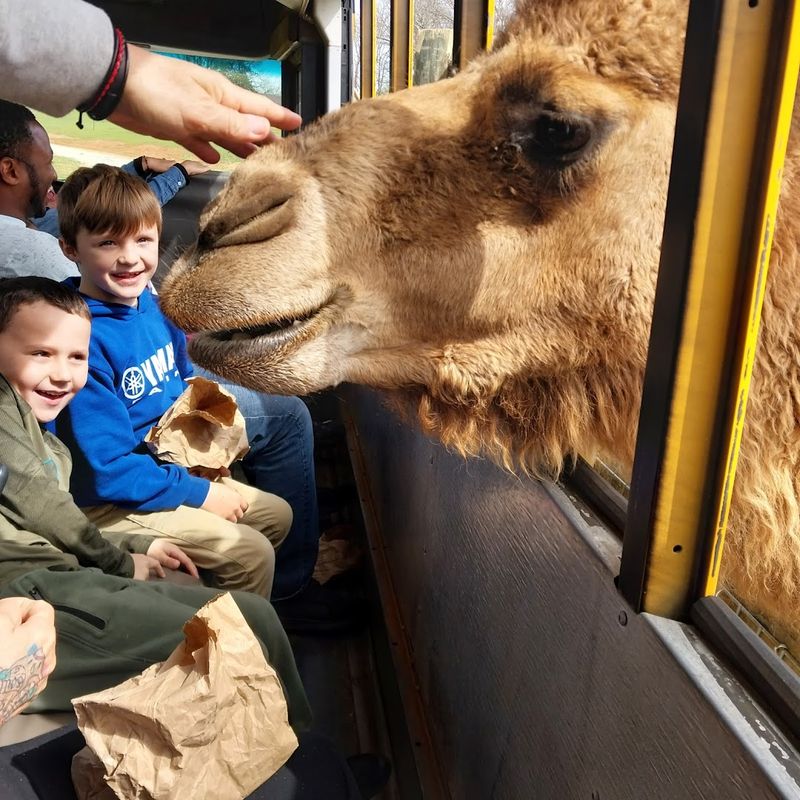 Affordable Admission With Military Discounts