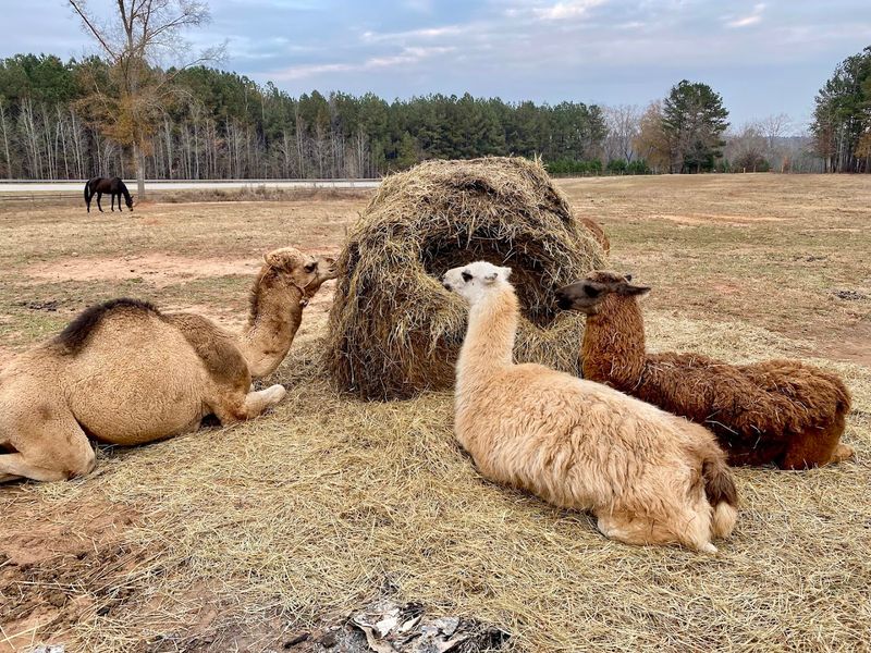 Community Connection Through Shared Love Of Nature