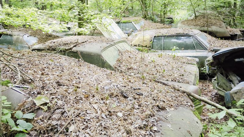 Scenic Variety Across Multiple Trail Sections