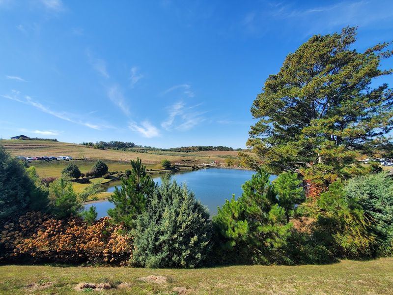 Scenic Picnic Spots Across the Property