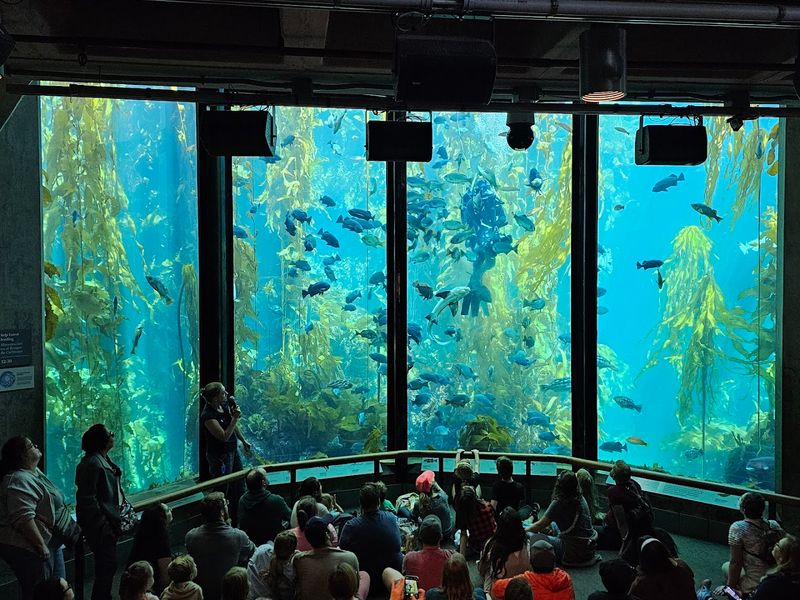 Daily Feeding Demonstrations That Bring The Exhibit To Life