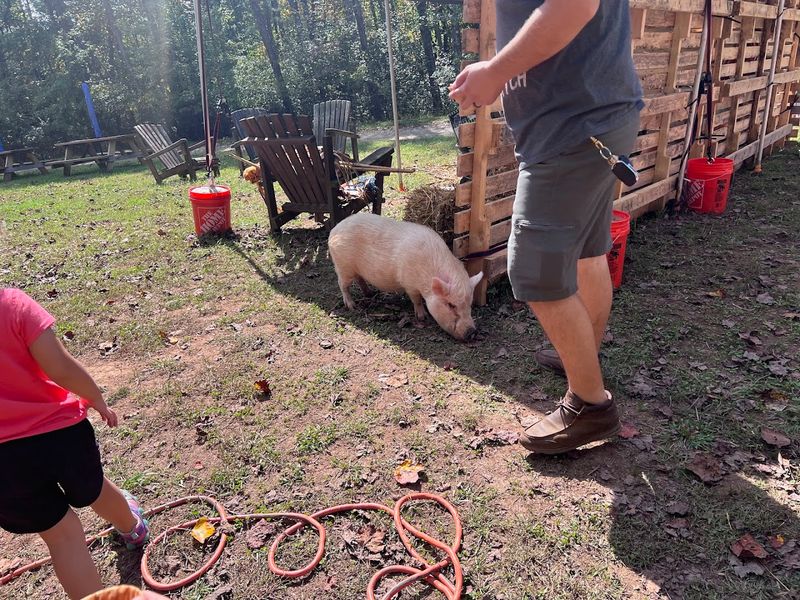 Strong Community Connection in North Georgia