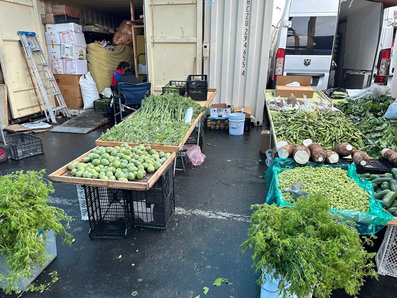 Tables Filled With Objects You Did Not Plan To Find