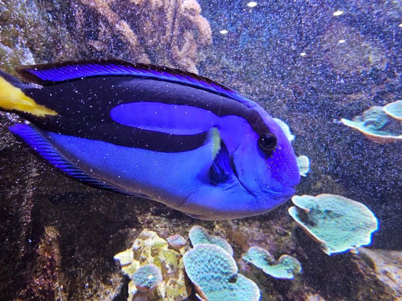 Supporting Local Education Through Albany State University Collaboration