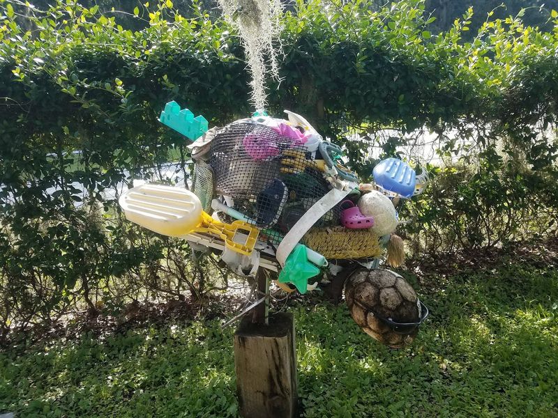 Georgia's Only Sea Turtle Hospital Lets You Step Into A World That Few Ever See - Decor Hint Educational Workshops Covering Marine Ecology and Conservation