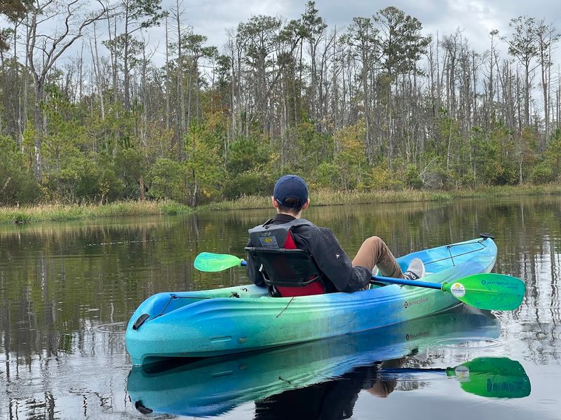 Paddle Through The Blackwater Of The Alligator River