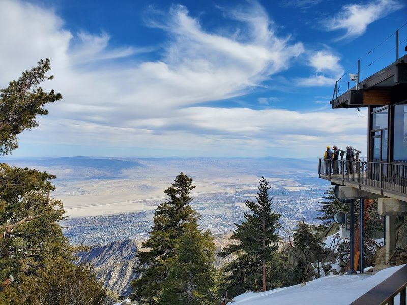 Climbing Into Cooler Air And Pine Forests Above