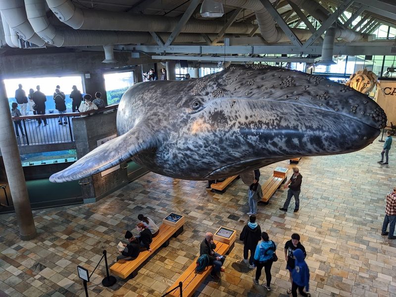 Dining Options Inside The Aquarium And Just Outside On Cannery Row
