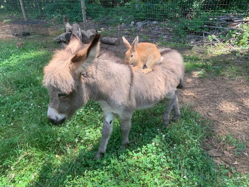 Glowing Reviews From Families Who Keep Coming Back