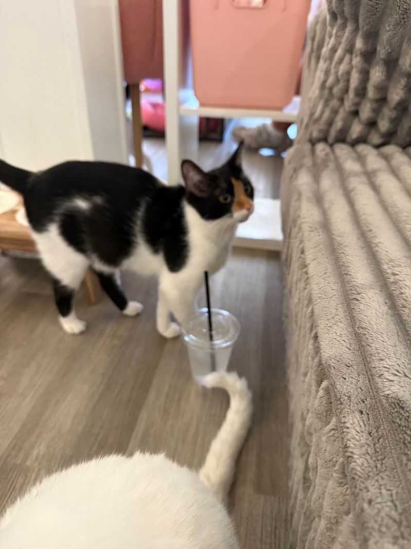 Reservations Are Easy and Strongly Recommended