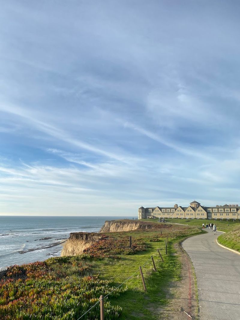 Dogs Are Welcome On The Trail With A Leash