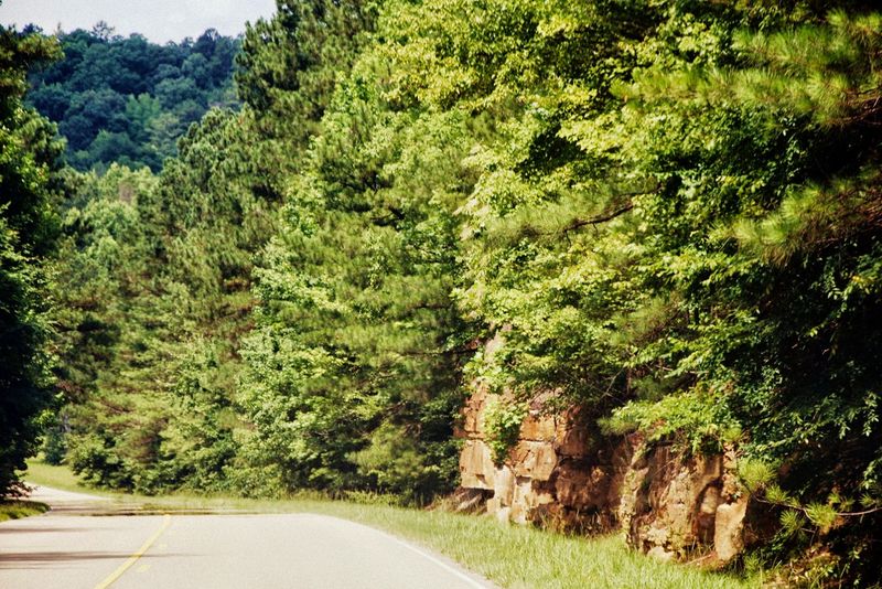 Why the 50 MPH limit really matters