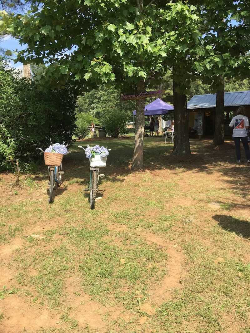 A Storied History Rooted In Passion And Patience