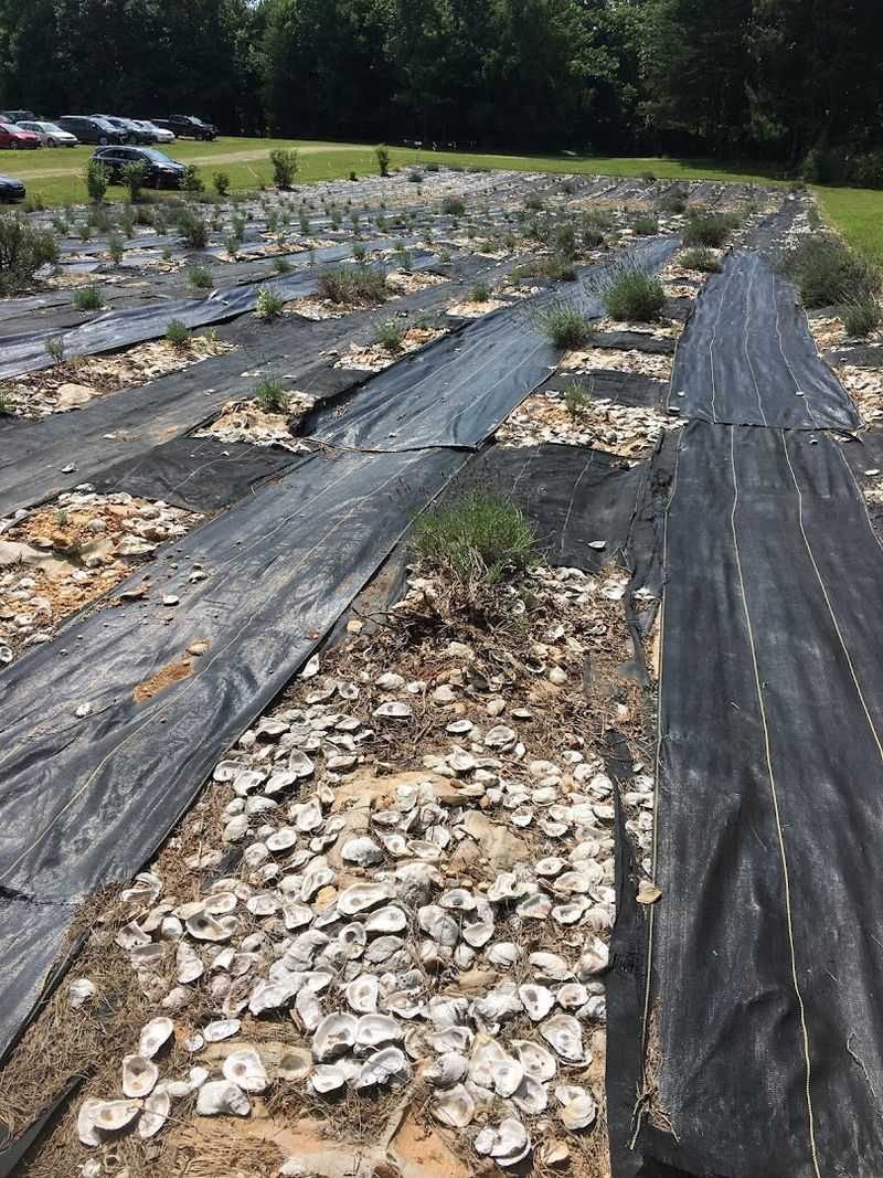 A Storied History Rooted In Passion And Patience