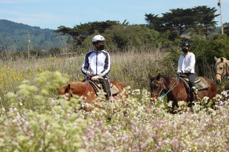 Why Locals Keep Coming Back Again And Again