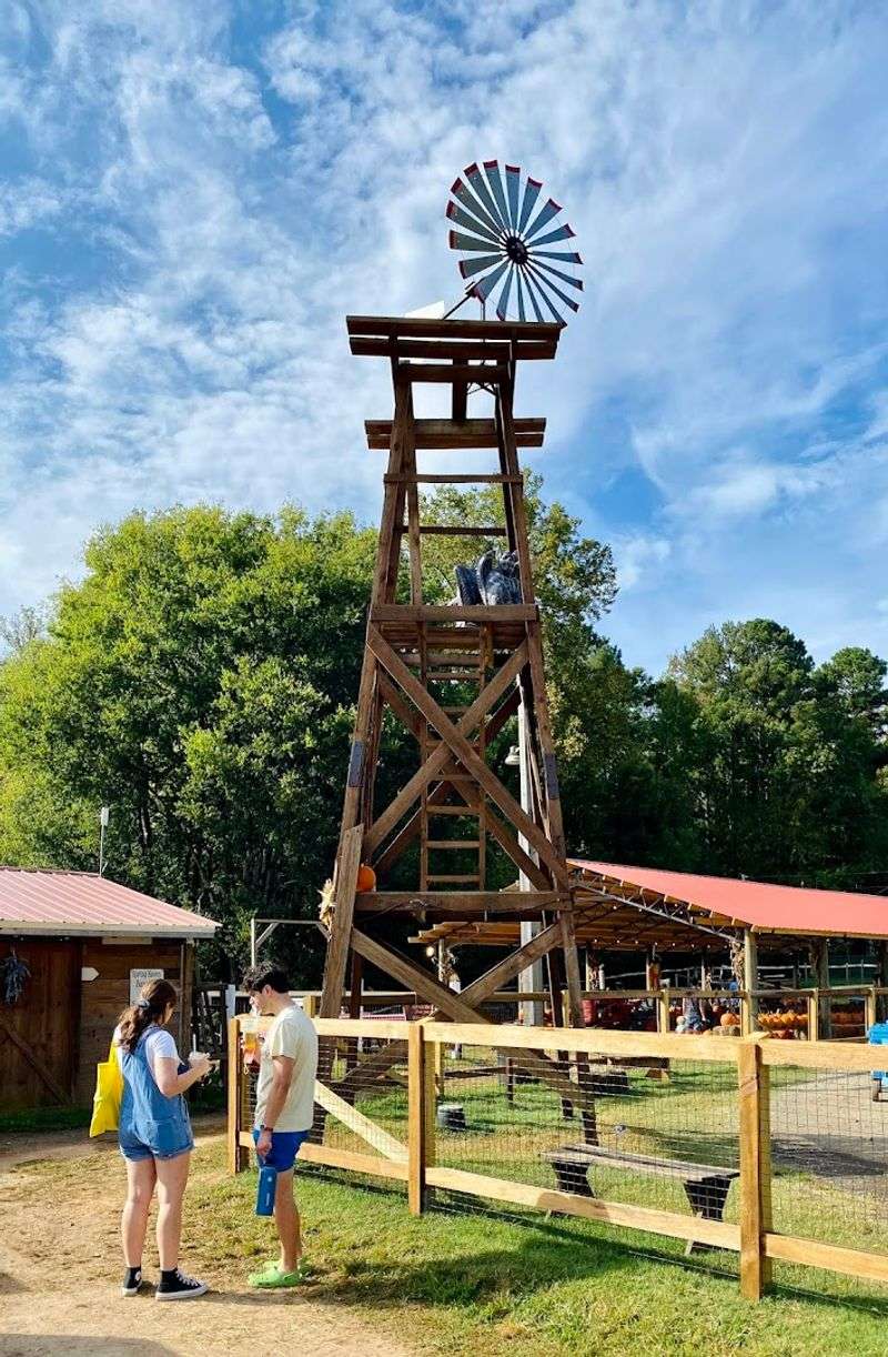 Chapel Hill As The Perfect Backdrop For This Adventure