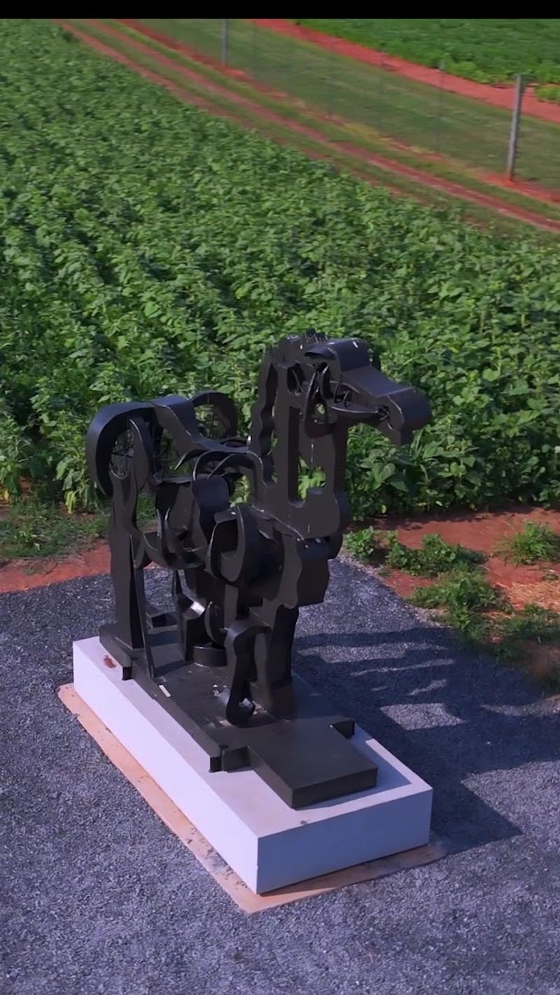 Its Controversial Debut at UGA