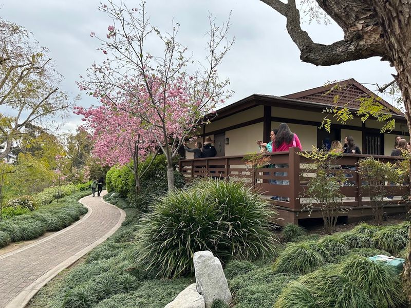 Why The Bloom Only Lasts A Short Time Each Year