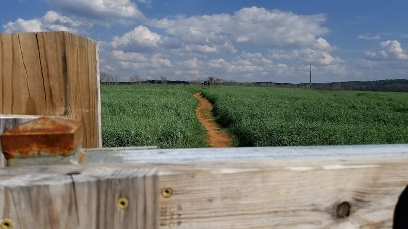 Why It Became a Student Tradition