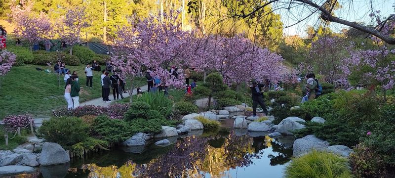Why This Garden Feels Like A Trip To Japan