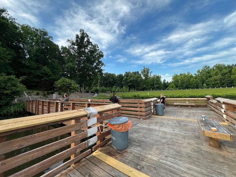  What The Three Bridges Reveal 