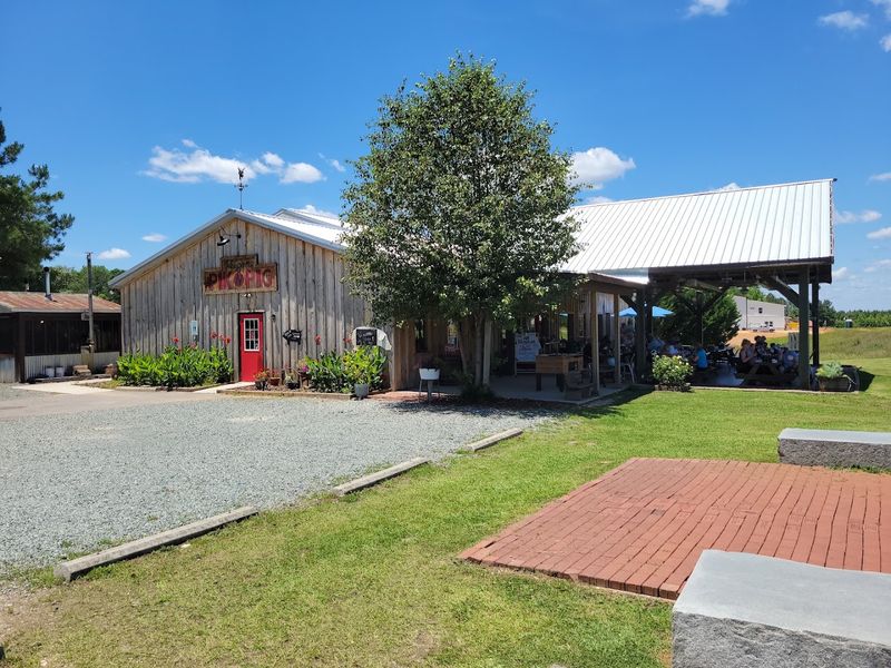 Getting There And What To Expect