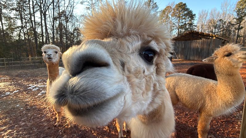 Tips For Making The Most Of Your Visit