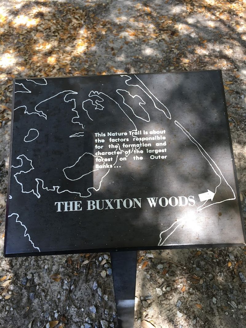 Ancient Maritime Canopy