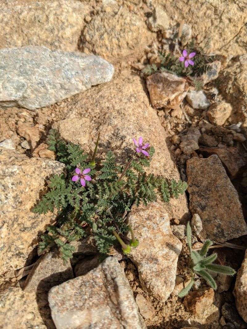 Spring Is The Season That Makes This Trail Shine