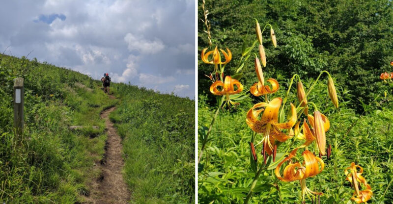 Why This Appalachian Trail Hike In North Carolina Deserves A Spot On Every Hiker’s Bucket List