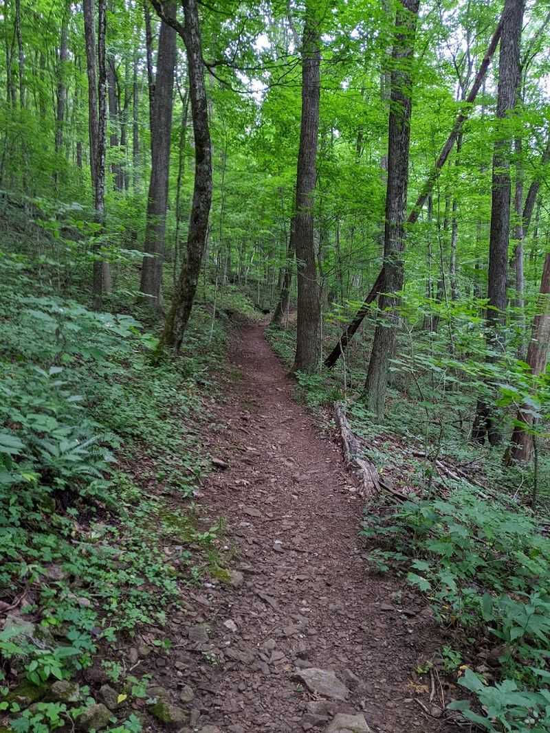 A Trailhead That Gets To The Good Part Quickly