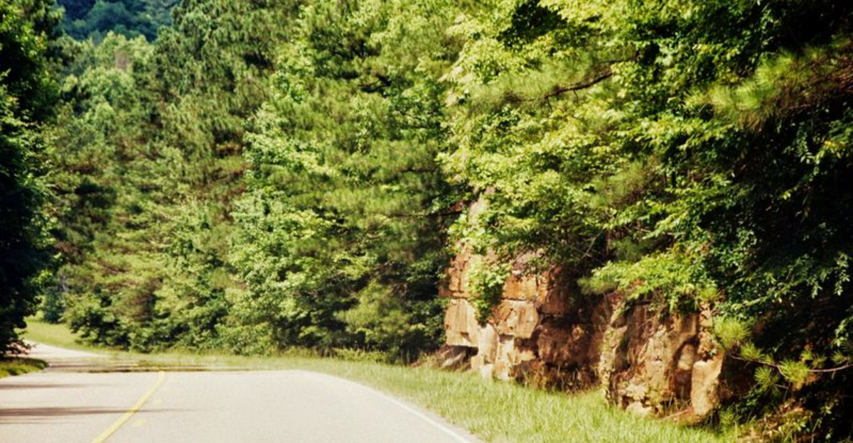 Why This Mississippi Parkway Feels Completely Different After Dark - Decor Hint