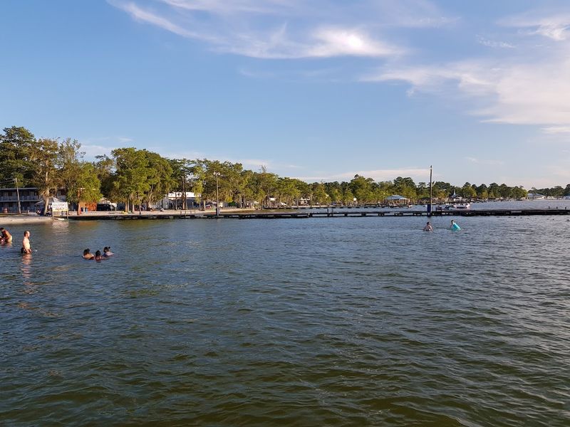 Generations Of Families Have Swum Here
