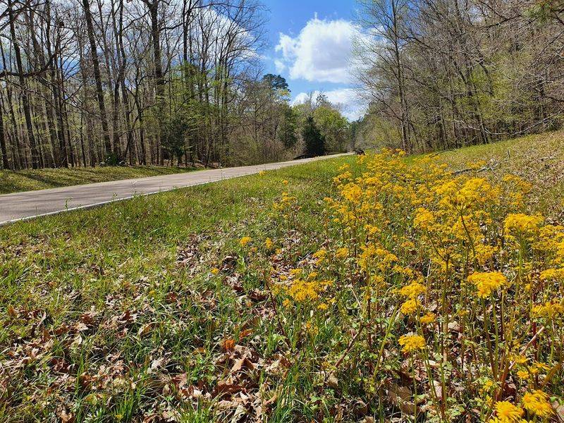 How different this road looks during the day