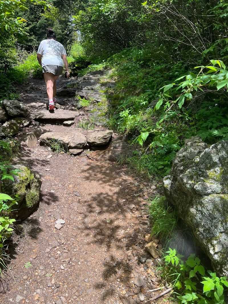 Practical Tips Before You Go