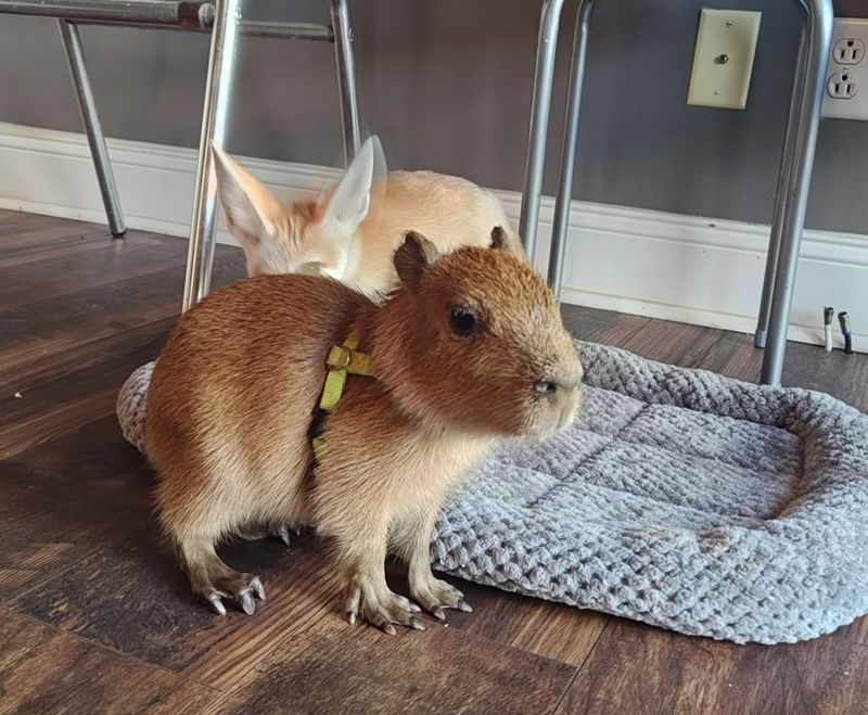 A Relaxing Escape from City Life