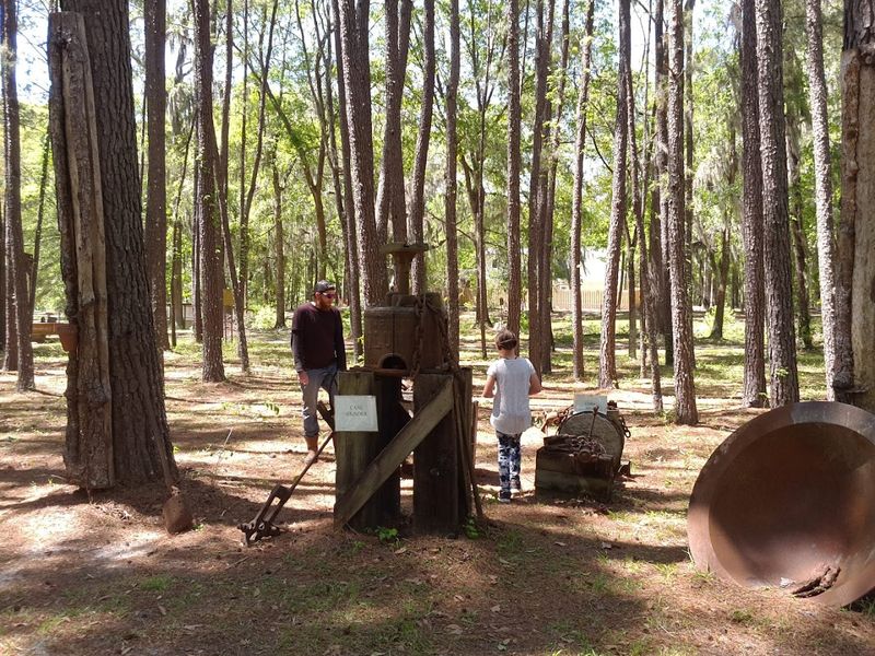 Guided History and Nature Tours