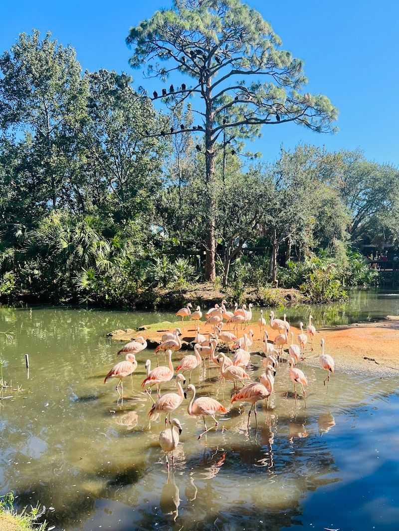 Why This Experience Stays With You Longer