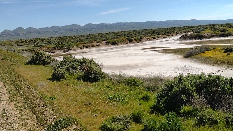 The San Andreas Fault Runs Right Through The Property