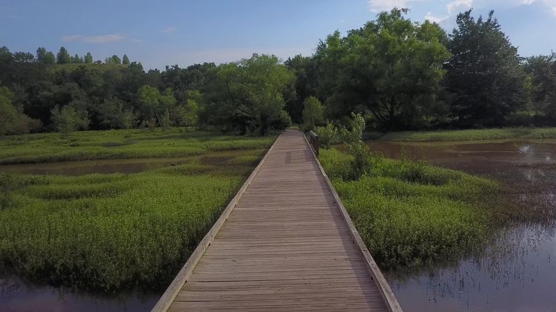 Boardwalks Over Marshy Beauty